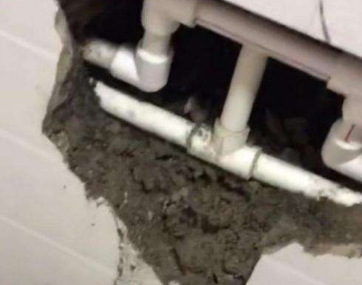 呼玛卫生间漏水哪家好