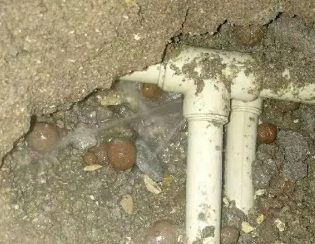 呼玛卫生间测漏