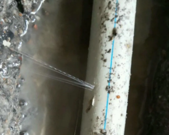 呼玛卫生间测漏水多少钱