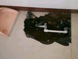 呼玛卫生间测漏水多少钱